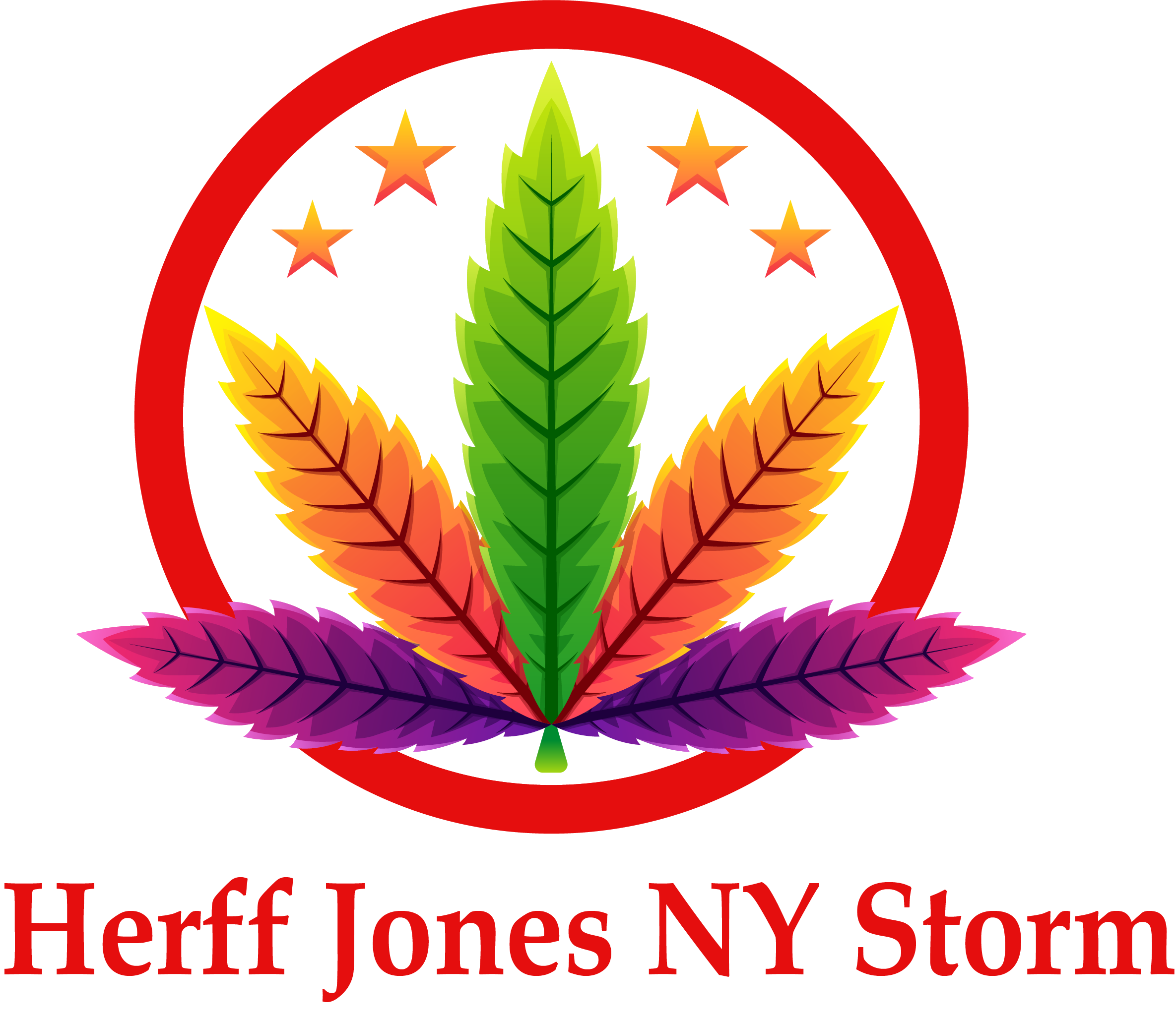 Herff Jones NY Storm